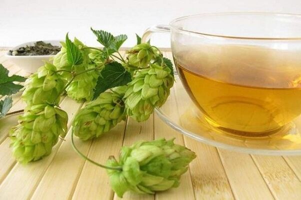 Abkochung von Hopfenzapfen zur Brustvergrößerung